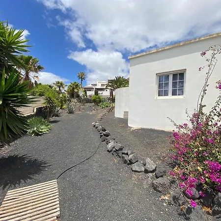 فيلة Marcasita *